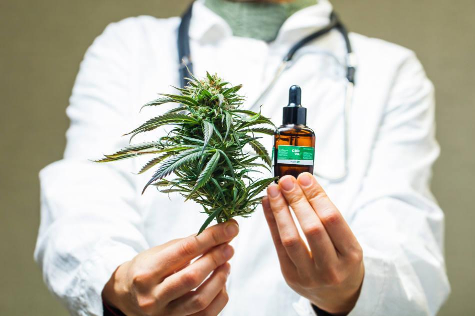 Cannabis médical : des expérimentations prometteus